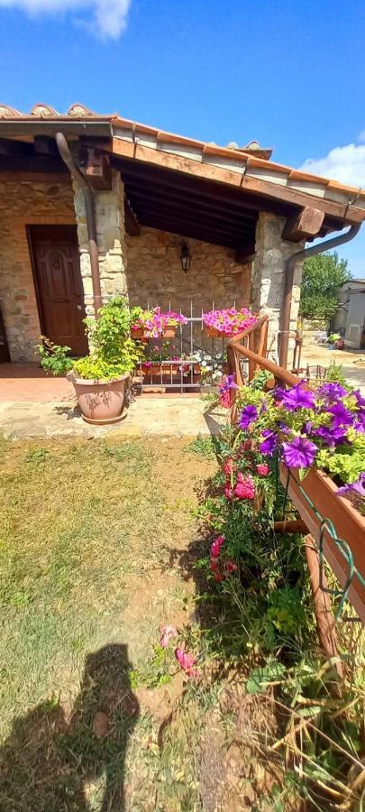 Agriturismo La Casina Saturnia Zewnętrze zdjęcie